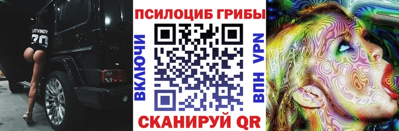Галлюциногенные грибы Psilocybine cubensis  гидра ONION  Брюховецкая  наркотики 